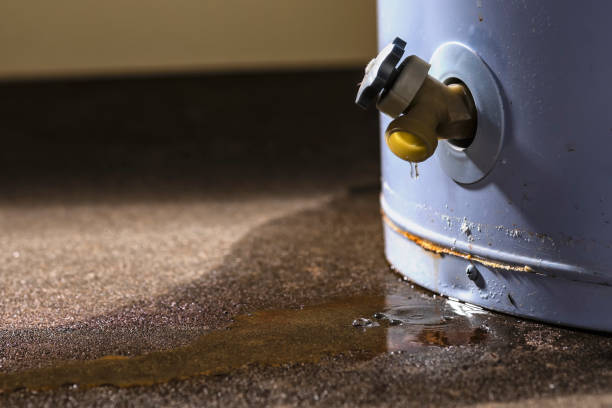 Best Water damage restoration specialists  in Ashland, PA