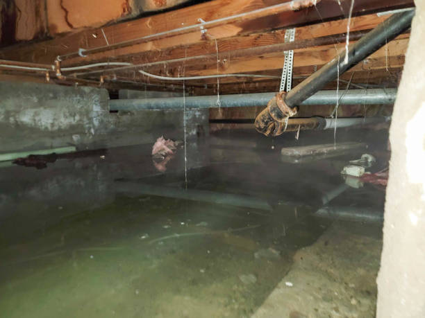 Trusted Ashland, PA Water damage restoration Experts