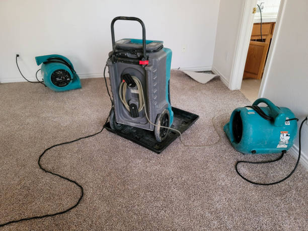 Best Flood restoration services  in Ashland, PA