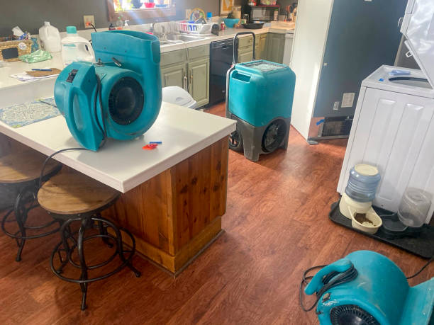 Best Ceiling water damage repair  in Ashland, PA