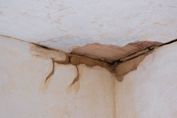 Best Water damage restoration experts  in Ashland, PA