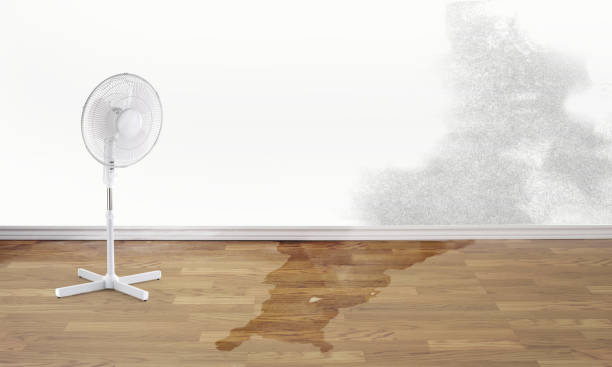 Best Emergency water damage restoration  in Ashland, PA