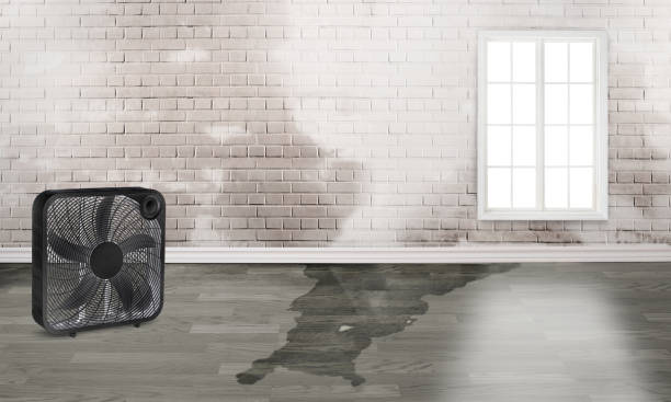 Best 24-hour water damage restoration  in Ashland, PA