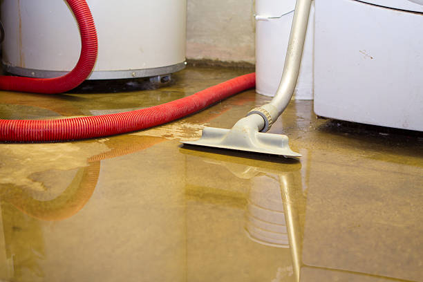 Best Local water damage restoration  in Ashland, PA