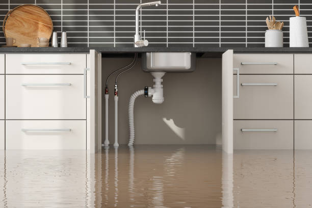 Best Flooded house restoration  in Ashland, PA