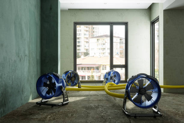 Best 24/7 water damage repair  in Ashland, PA